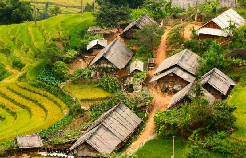 3-Day Sapa Trekking Tour: Y Linh Ho, Lao Chai, Ta Van, Ban Ho, Nam Tong, Thanh Phu & My Son